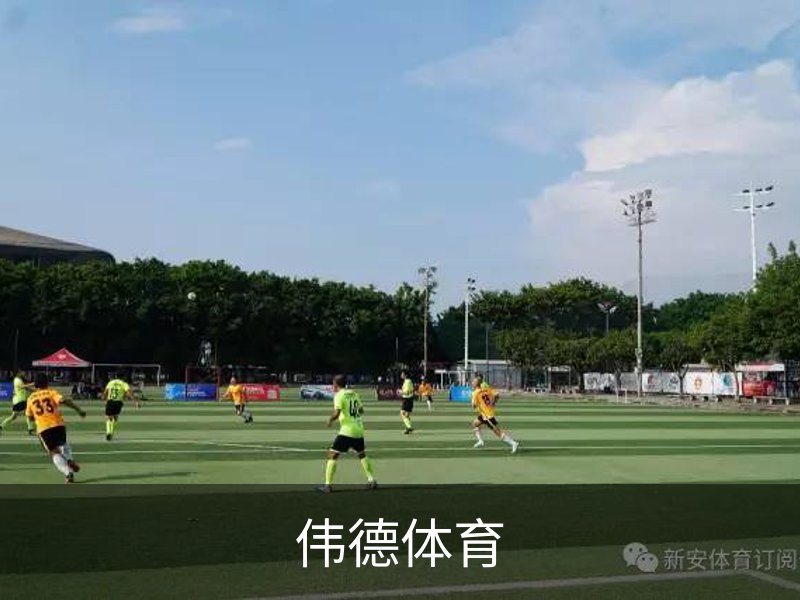 伟德体育概况